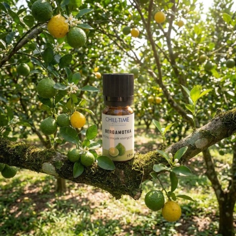 BERGAMOTKA - olejek eteryczny 10 ml