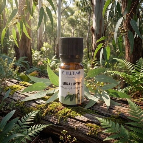 EUKALIPTUS - olejek eteryczny 10 ml
