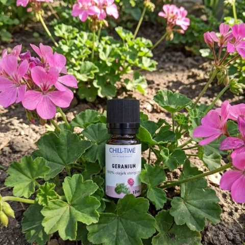 GERANIUM - olejek eteryczny 10 ml